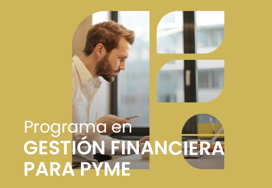 Programa en Gestión Financiera para PYME